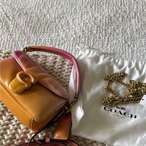 Coach Ombré Pillow Tabby